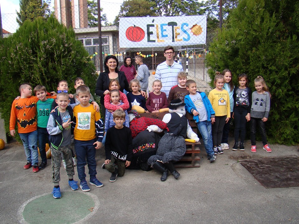 72647290 668178900256881 310173243807891456 n