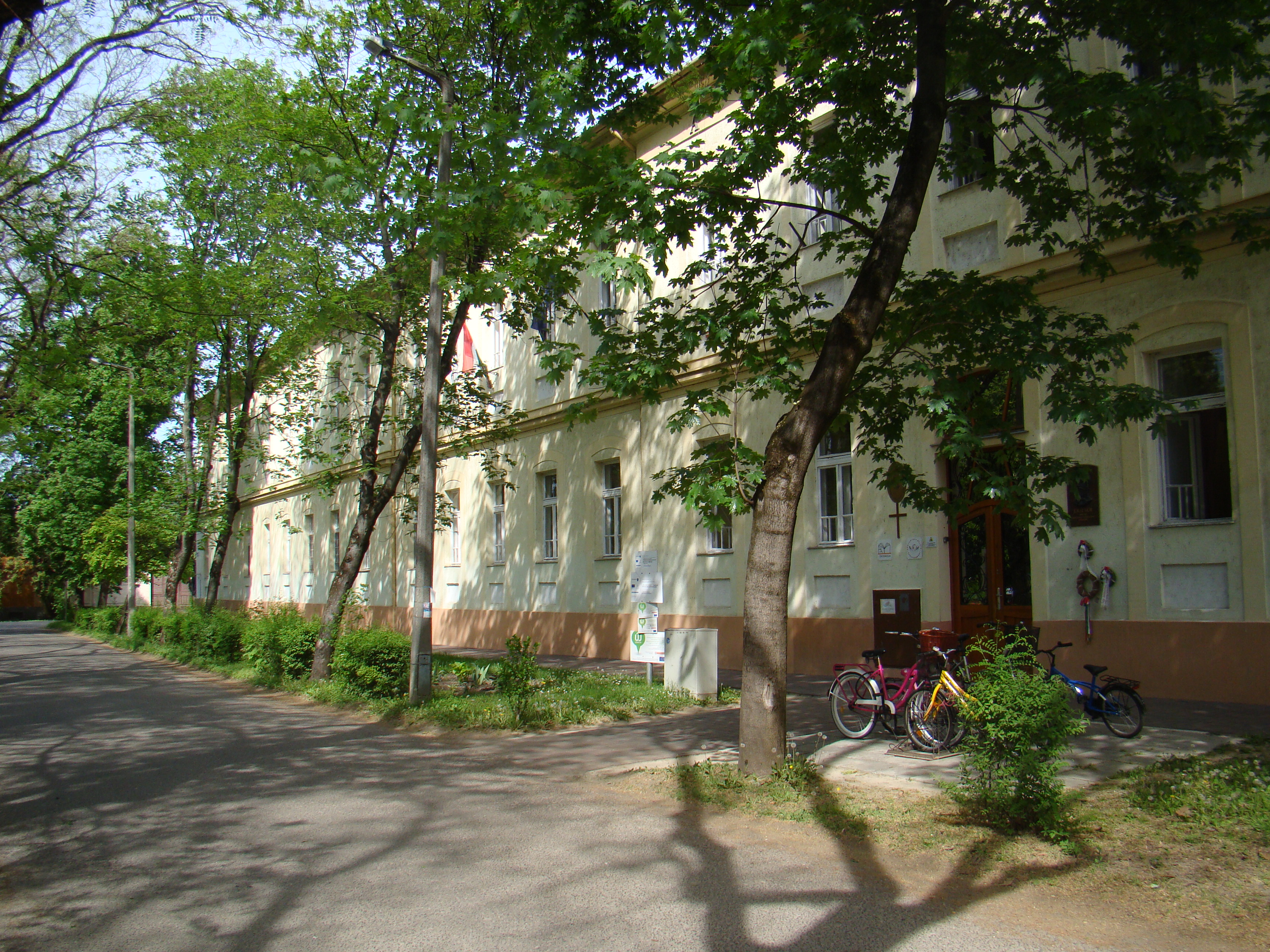 DSC00707