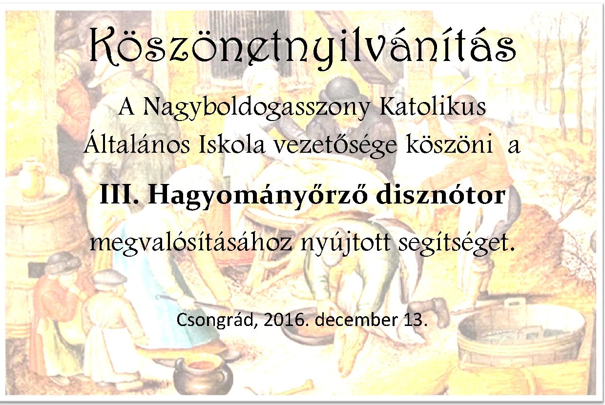 Köszönetnyilvánítás disznótor 2016u