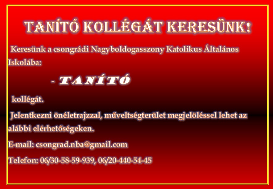 TANÍTÓT KERESÜNK 2020