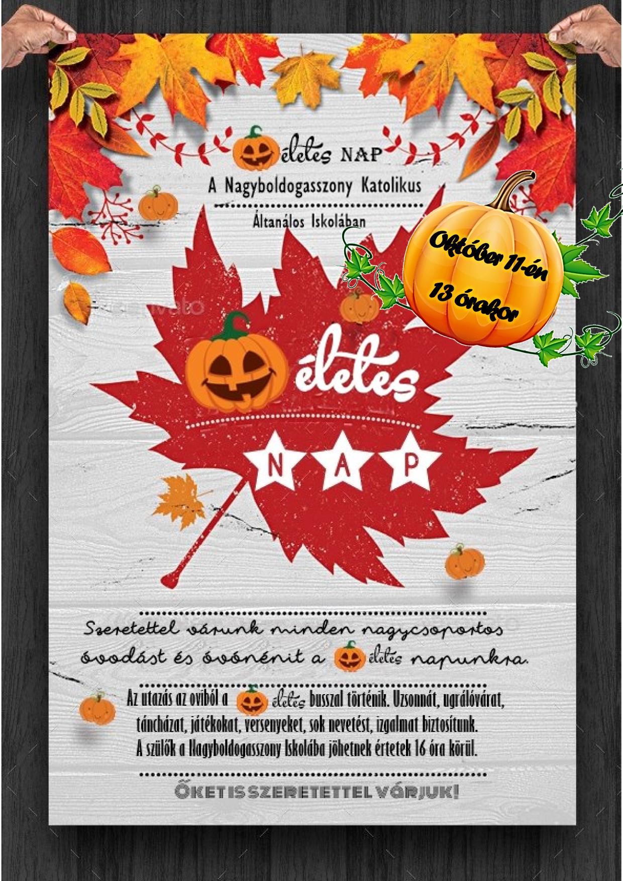 Tökéletes nap ovis plakát 2019