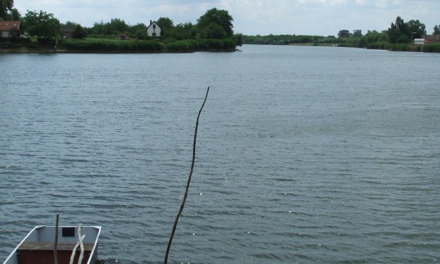 Csongrád, Serházzugi Holt- Tisza és az Aranyszigeti erdő természeti értékeinek felmérése