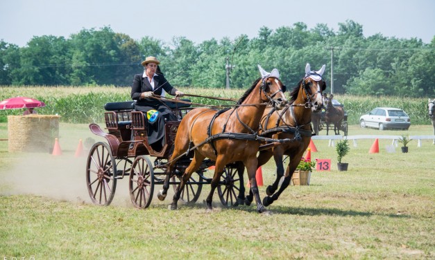 VII. Bokrosi Fogathajtó Verseny