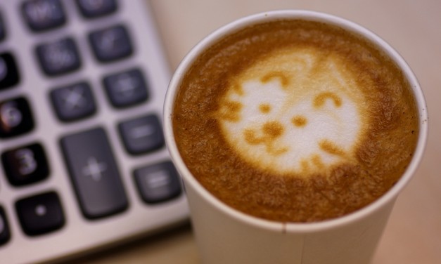 Pályázat könyvelői munkakör betöltésére