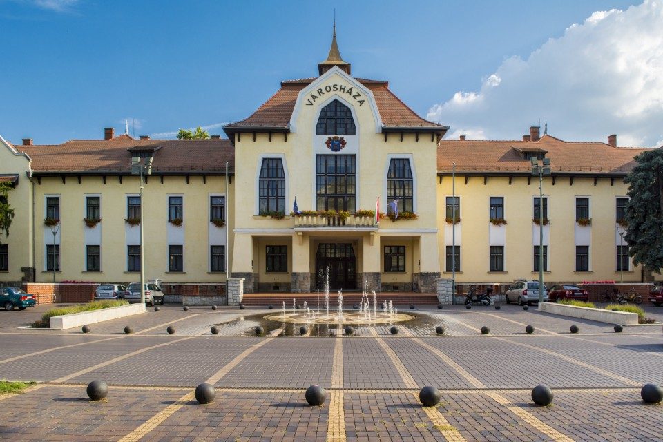 Csongrád Városi Önkormányzat 2017. évi támogatása civilszervezetek számára
