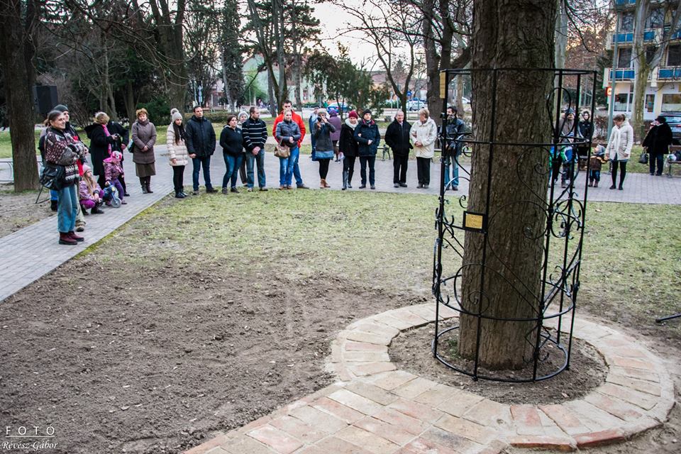 Házasság hete