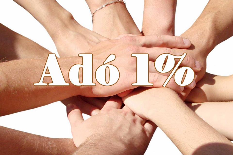 Szervezetek akik adó 1%-ot tudnak fogadni