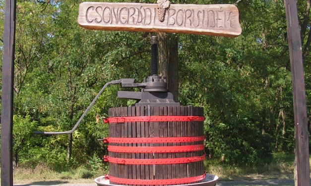 Nevezési felhívás megyei borversenyre