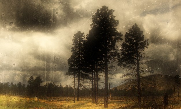 Lakossági felhívás az erdő- és szabadtéri tüzek megelőzésére