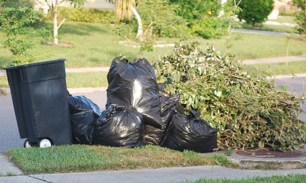 Információk a zöldhulladék szállításról