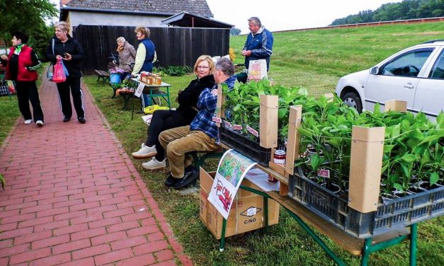 Megnyitott a Belvárosi Árusítóhely