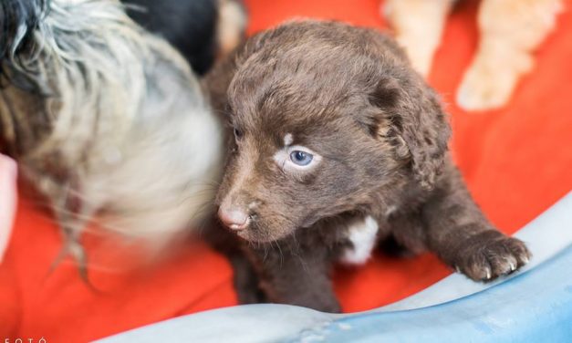 Köszönet a segítőknek!