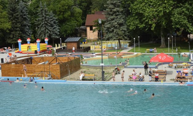 Pályázati felhívás ügyvezetői feladatok ellátására