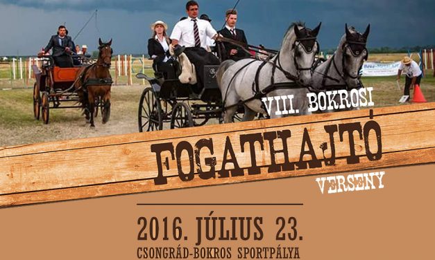 VIII. Bokrosi Fogathajtó Verseny