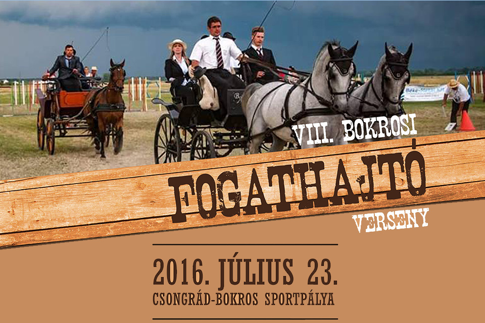 VIII. Bokrosi Fogathajtó Verseny