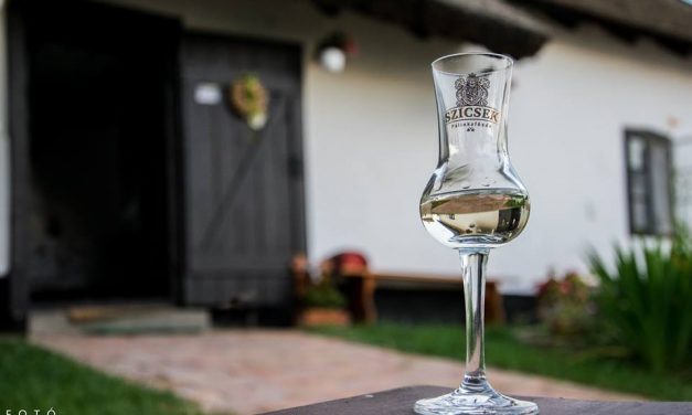 Pálinkakóstoló a Csongrádi Borházban