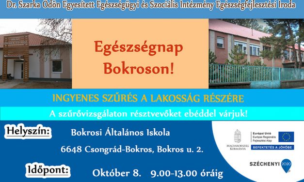 Egészségnap Bokroson