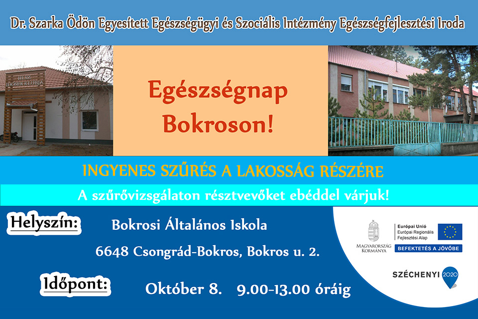Egészségnap Bokroson