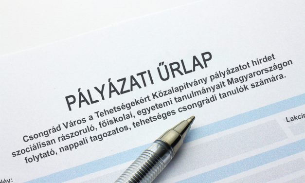 Pályázat a tehetségekért
