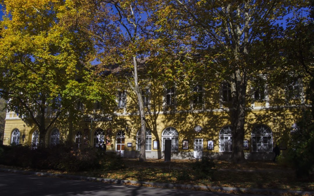 Csongrád Város a Tehetségekért Alapítvány pályázatot hirdet