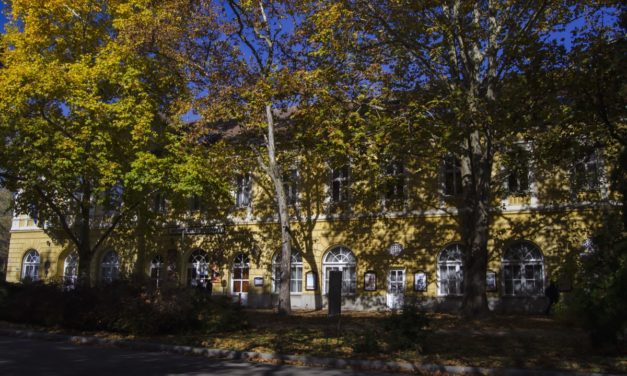 Csongrád Város a Tehetségekért Alapítvány pályázatot hirdet