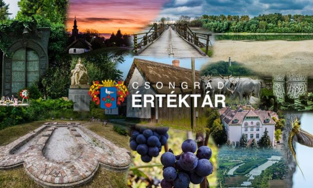 Az év honlapja 2016