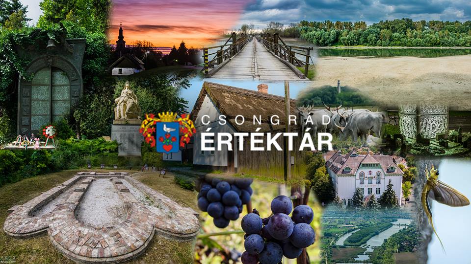 Az év honlapja 2016