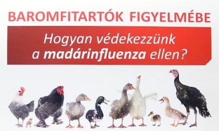 Hogyan védekezzünk a madárinfluenza ellen
