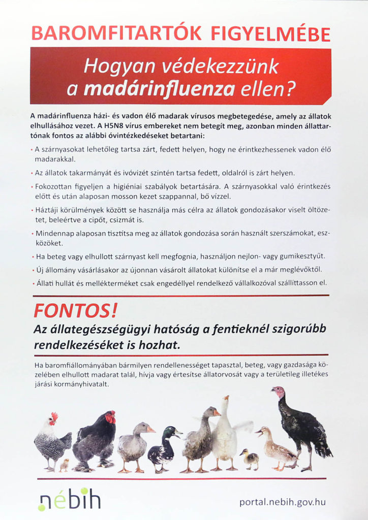 madarinfluenza