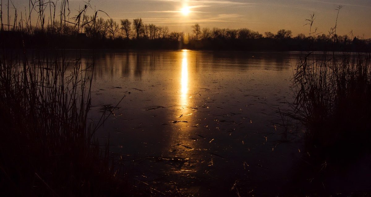 Januári Holt-Tisza és kezdődő jégzajlás a Tiszán (képgaléria)