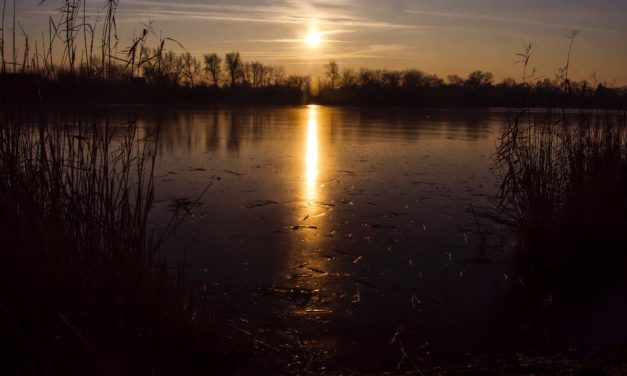 Januári Holt-Tisza és kezdődő jégzajlás a Tiszán (képgaléria)