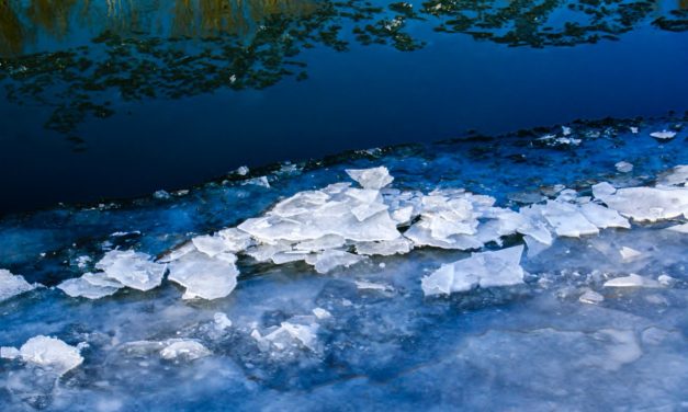 A rendkívüli hideg időjárásra tekintettel…