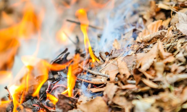Az avar és kerti hulladék nyílttéri égetésének szabályai