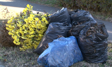 Csongrád város hulladékgyűjtési rendje 2020. májustól – 2021. áprilisig