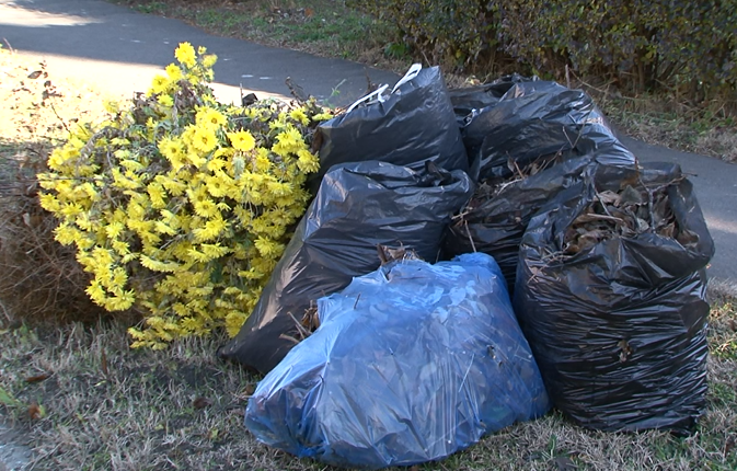 Tájékoztató a zöldhulladék gyűjtéséről