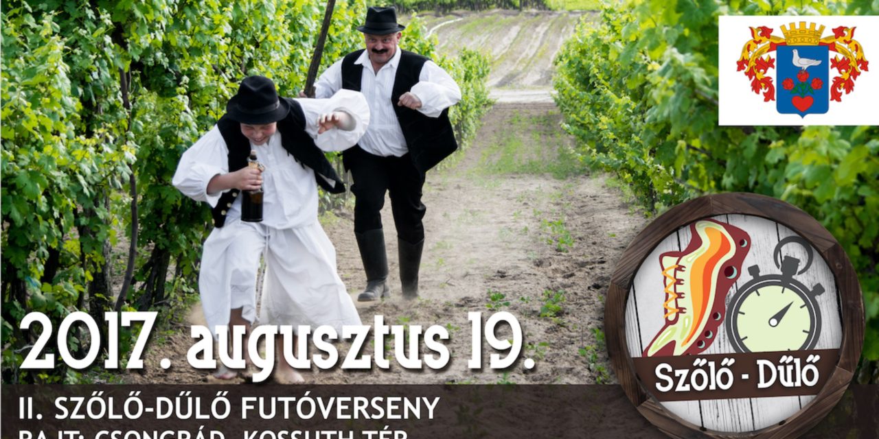 II. Szőlő-Dűlő futóverseny