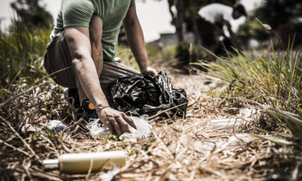 „TE SZEDD” akció Csongrádon