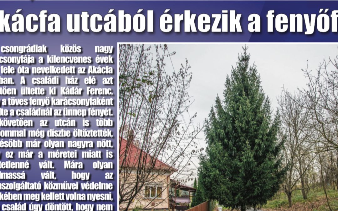 Megtekinthető a Csongrádi Hírek legújabb, november 24-én megjelenő (167.) száma