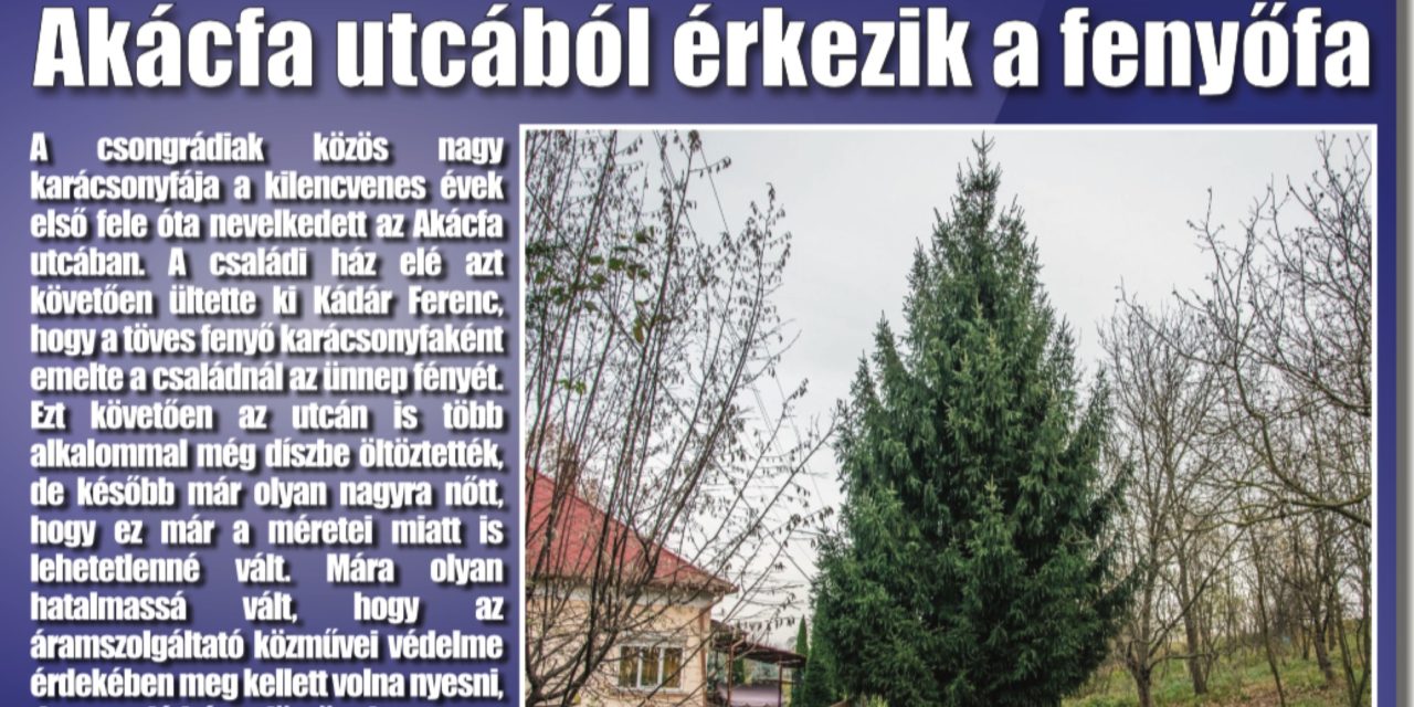 Megtekinthető a Csongrádi Hírek legújabb, november 24-én megjelenő (167.) száma