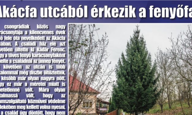Megtekinthető a Csongrádi Hírek legújabb, november 24-én megjelenő (167.) száma
