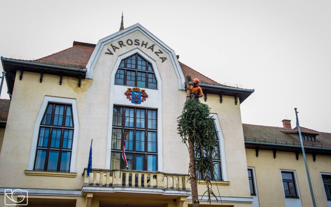 Elbontották Csongrád karácsonyfáját
