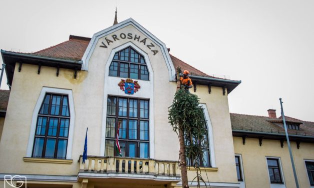 Elbontották Csongrád karácsonyfáját