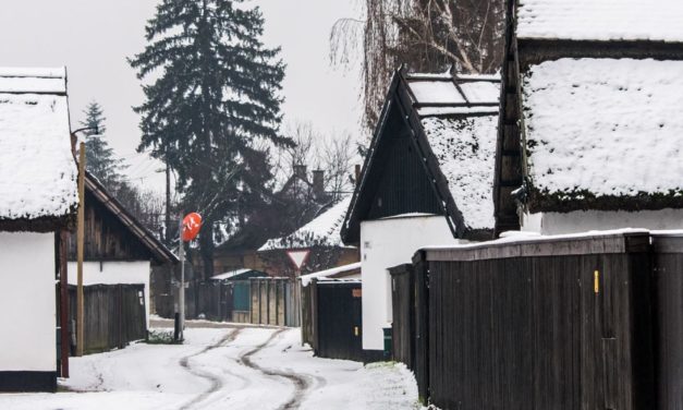 3.
