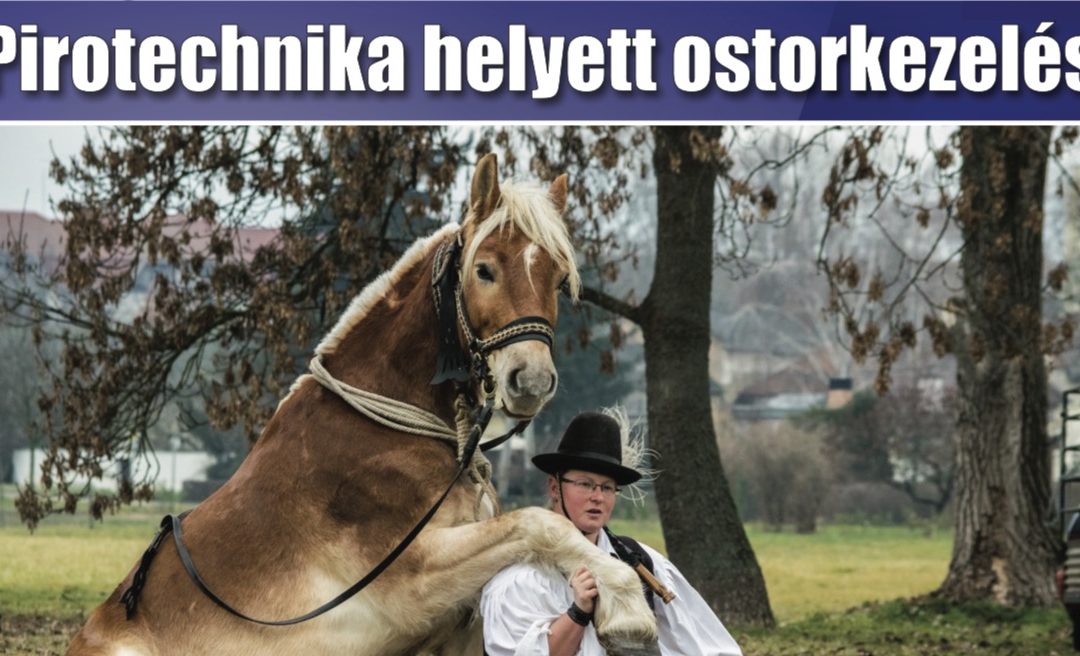 Megtekinthető a Csongrádi Hírek legújabb, január 5-én megjelenő (170.) száma