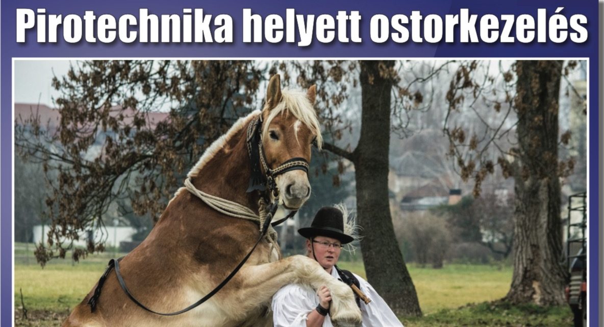 Megtekinthető a Csongrádi Hírek legújabb, január 5-én megjelenő (170.) száma