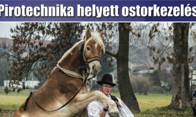 Megtekinthető a Csongrádi Hírek legújabb, január 5-én megjelenő (170.) száma