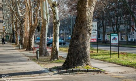 Tisztelt Csongrádiak! Köszönjük, hogy szavazataikkal segítették munkánkat