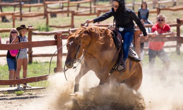 Fássy Evelin az ország legeredményesebb western lovasa