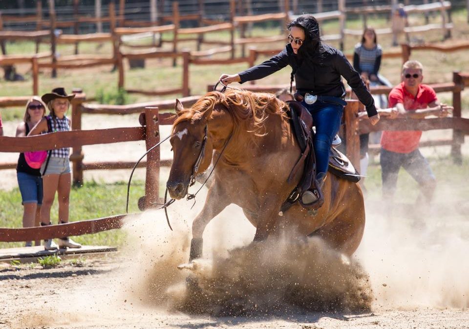 Fássy Evelin az ország legeredményesebb western lovasa