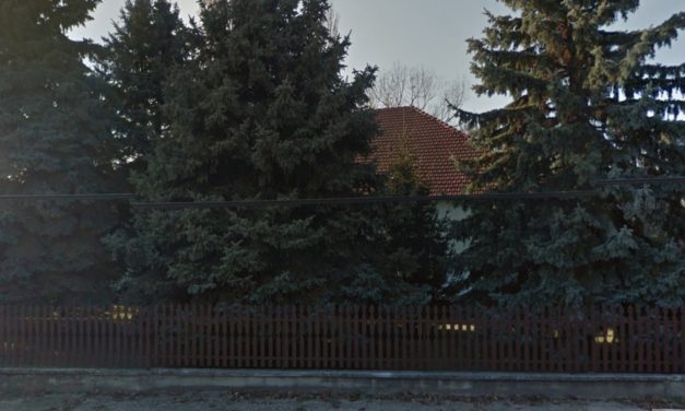 Piroskavárosi pályázat